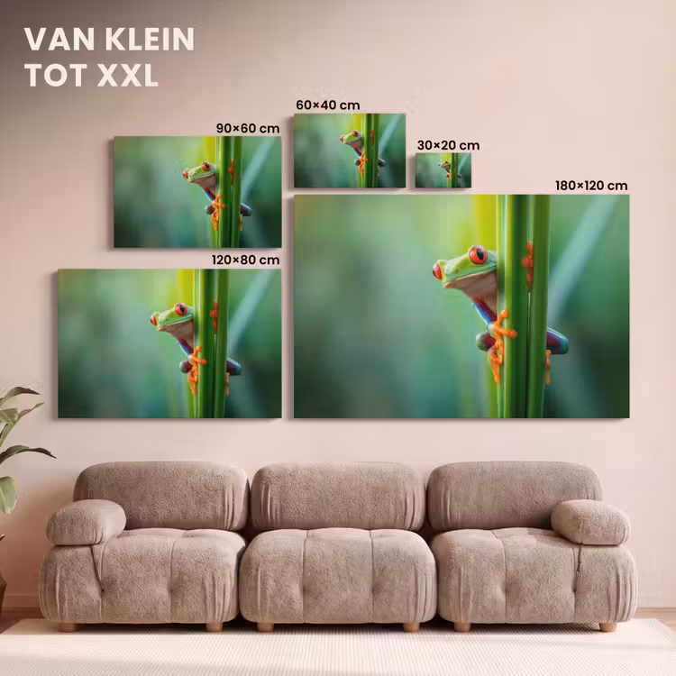 Canvas schilderij - Groene kikker - Nieuwsgierig - Gras — 8