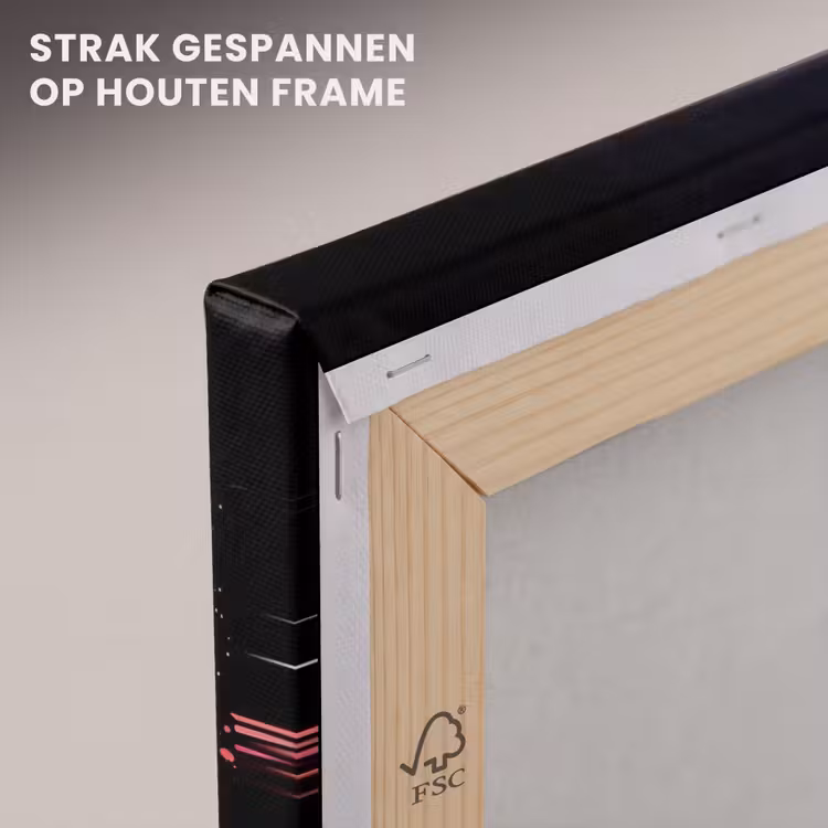 Canvas schilderij - Gezichten - Silhouetten - Kleurrijk - Takken — 7