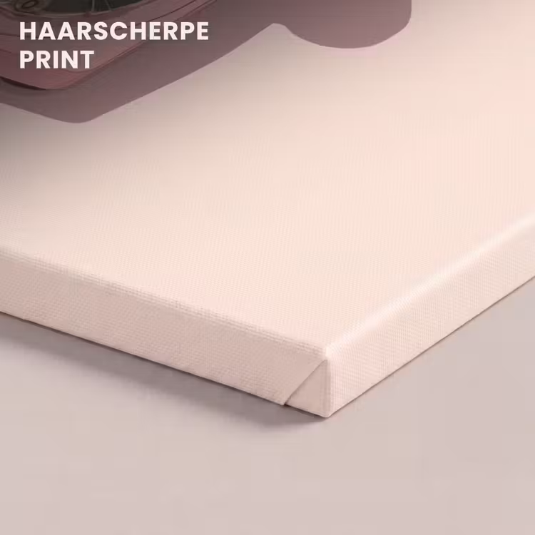 Canvas schilderij - Draaischijftelefoon - Retro - Roze — 5