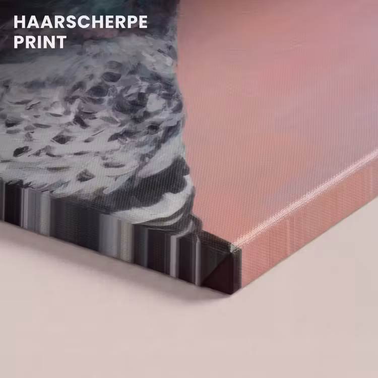Canvas schilderij - Duif - Envelop - Roze - Close up — 5