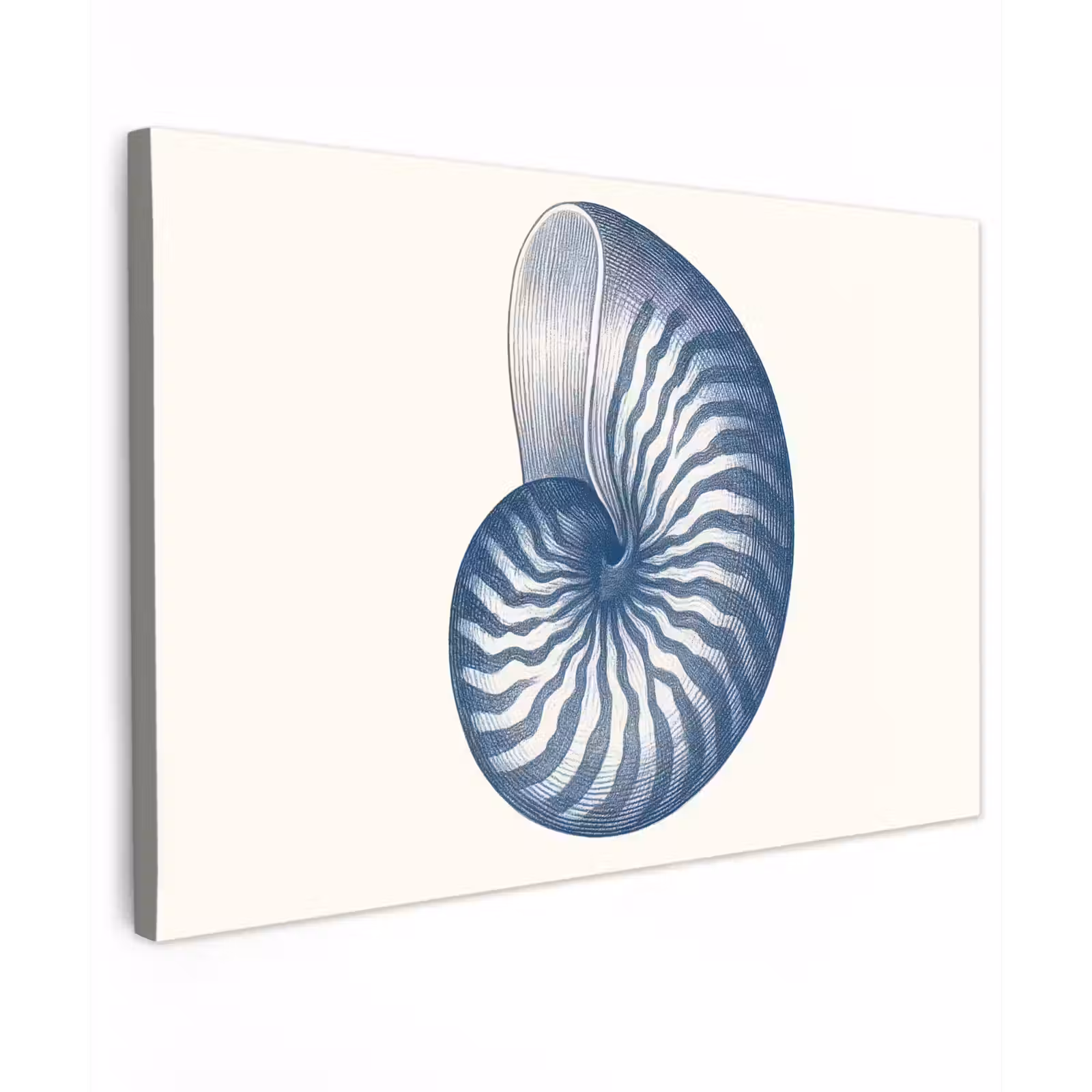 Canvas schilderij - Blauw - Schelp - Spiraal — 1