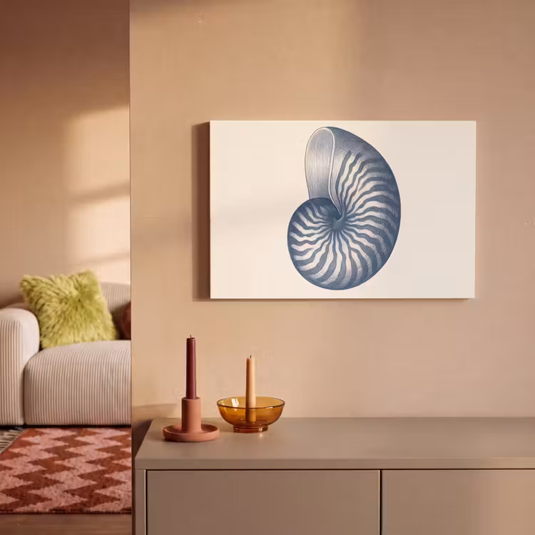 Canvas schilderij - Blauw - Schelp - Spiraal — 2