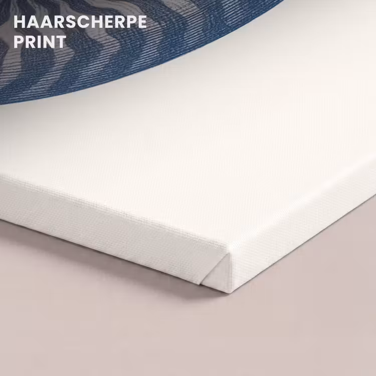 Canvas schilderij - Blauw - Schelp - Spiraal — 5