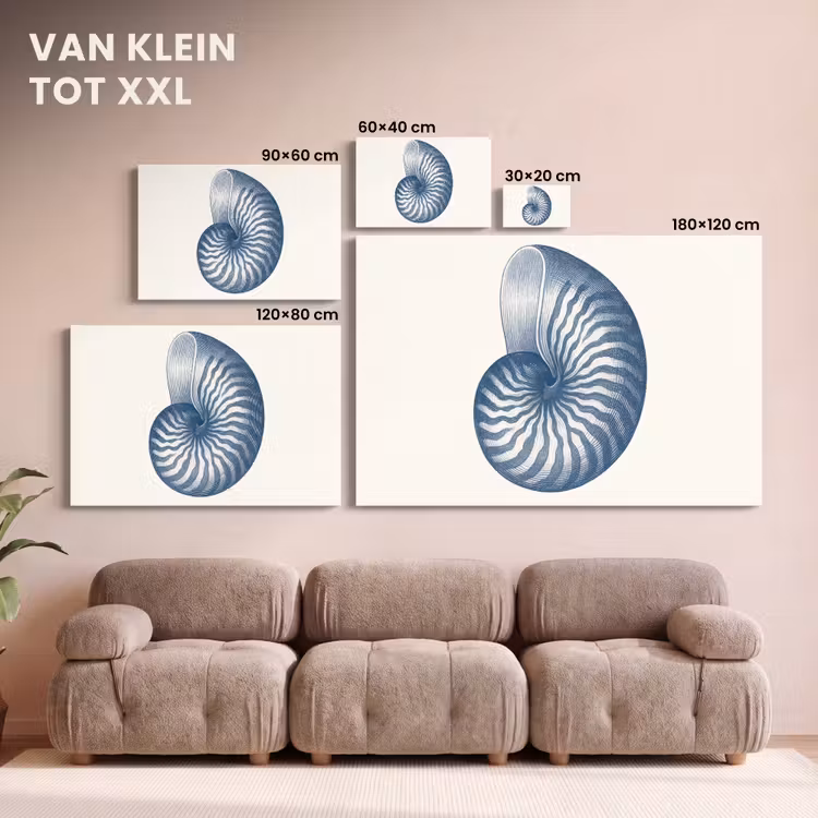 Canvas schilderij - Blauw - Schelp - Spiraal — 8