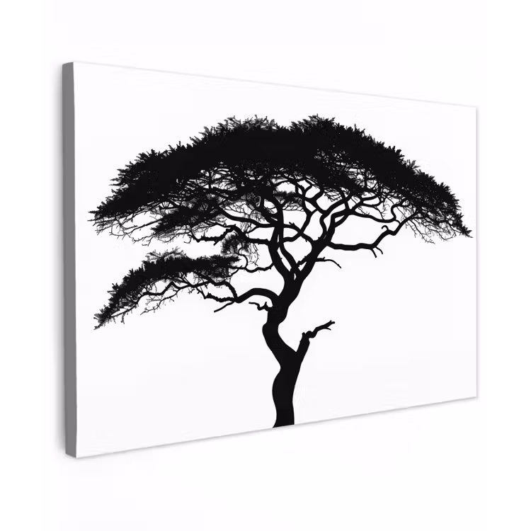 Canvas schilderij - Boom - Zwart - Wit - Modern — 1