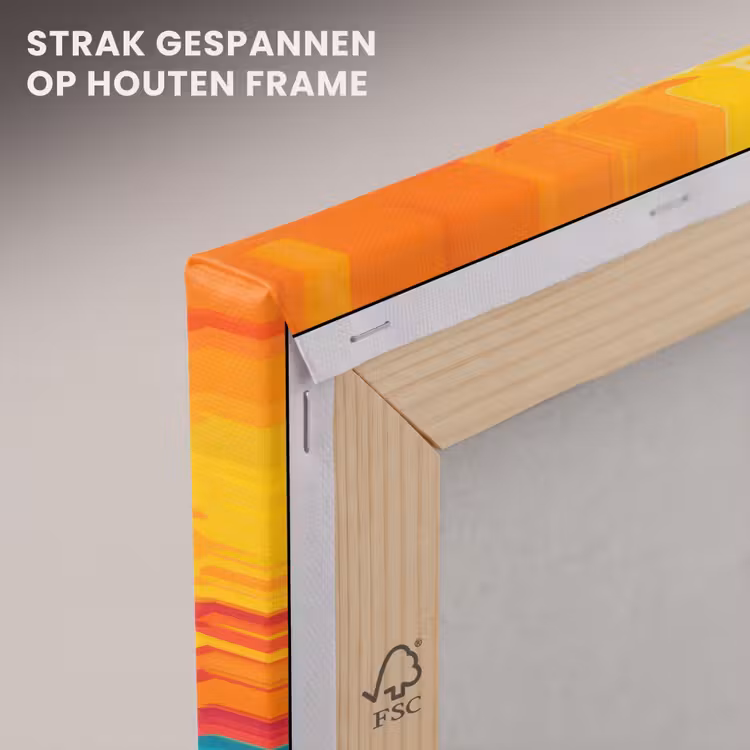 Canvas schilderij - Dolfijn - Kleurrijk - Oceaan - Koraal — 7