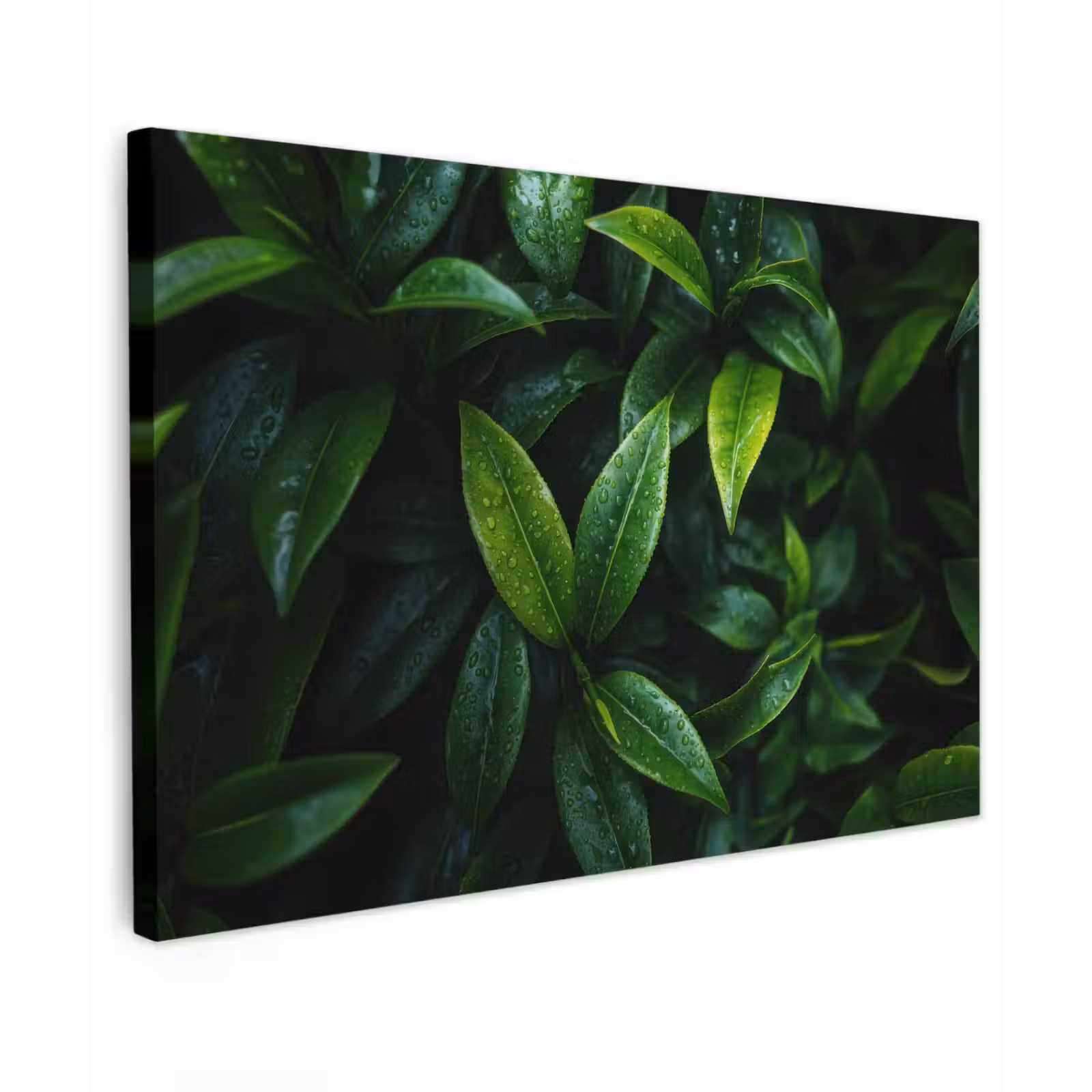 Canvas schilderij - Bladeren - Regendruppels - Licht - Groen — 1