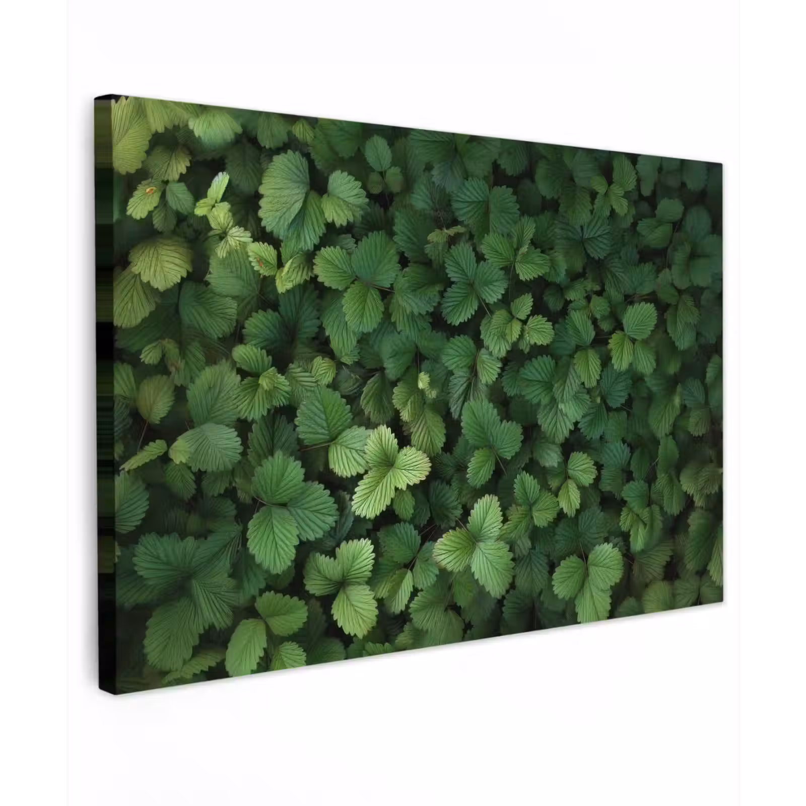Canvas schilderij - Groen - Bladeren - Kartel - Zonlicht — 1