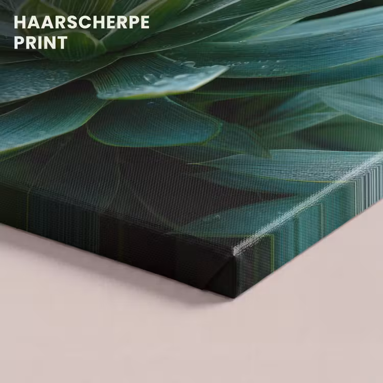 Canvas schilderij - Blad - Plant - Groen - Textuur — 5