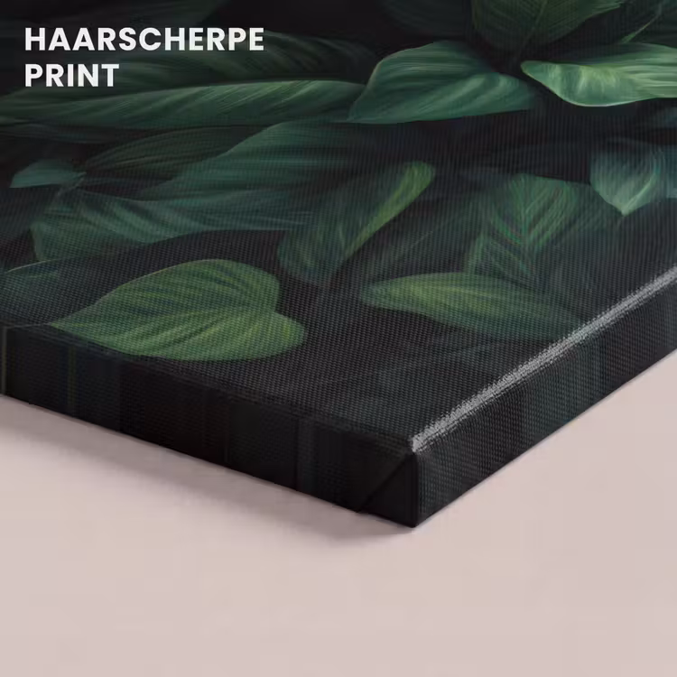 Canvas schilderij - Bladeren - Ovaal - Groen - Nerven — 5