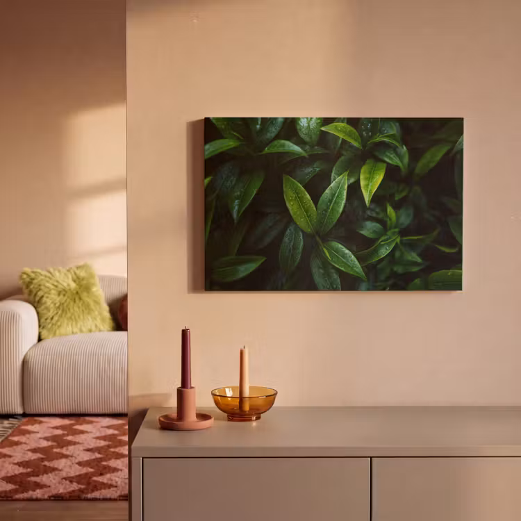 Canvas schilderij - Bladeren - Regendruppels - Licht - Groen — 2