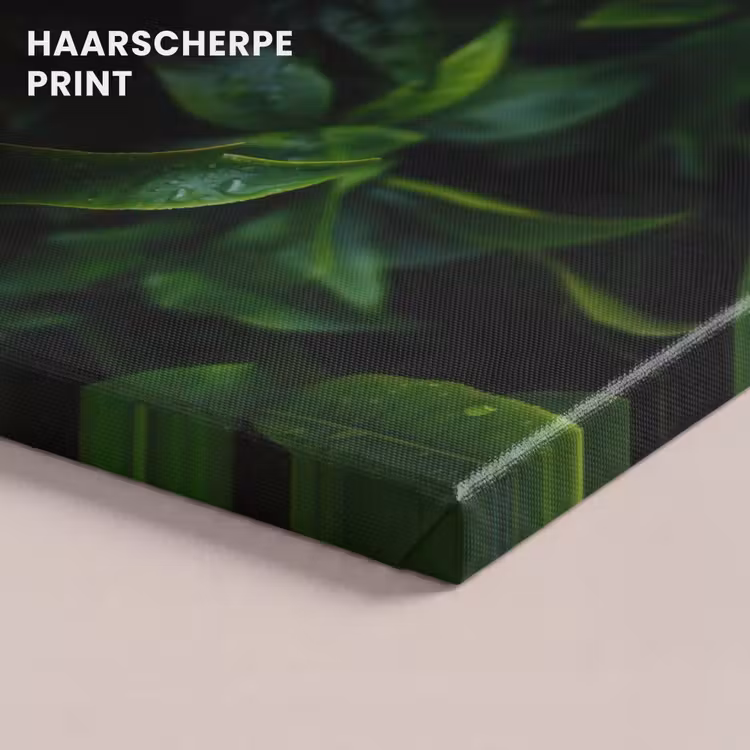 Canvas schilderij - Bladeren - Regendruppels - Licht - Groen — 5