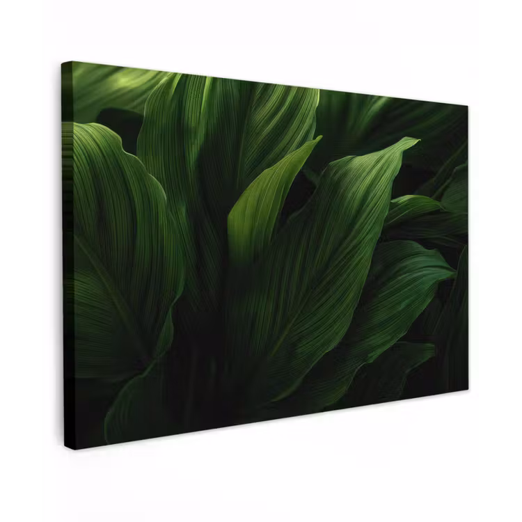 Canvas schilderij - Bladeren - Schaduw - Groen - Textuur — 1