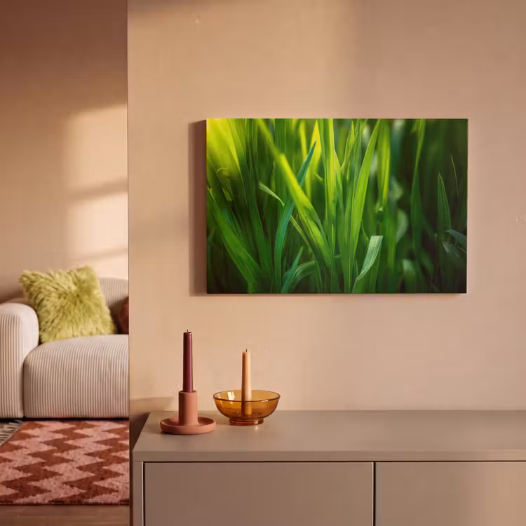 Canvas schilderij - Grassprieten - Lichtinval - Groen — 2