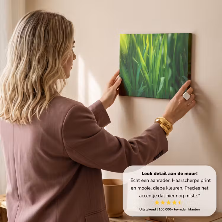 Canvas schilderij - Grassprieten - Lichtinval - Groen — 3