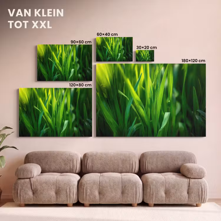 Canvas schilderij - Grassprieten - Lichtinval - Groen — 8