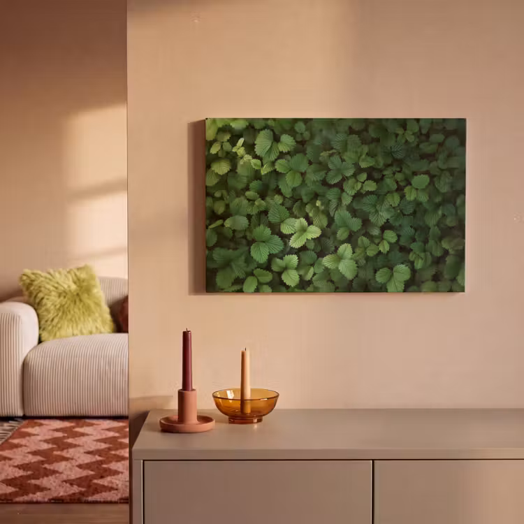 Canvas schilderij - Groen - Bladeren - Kartel - Zonlicht — 2