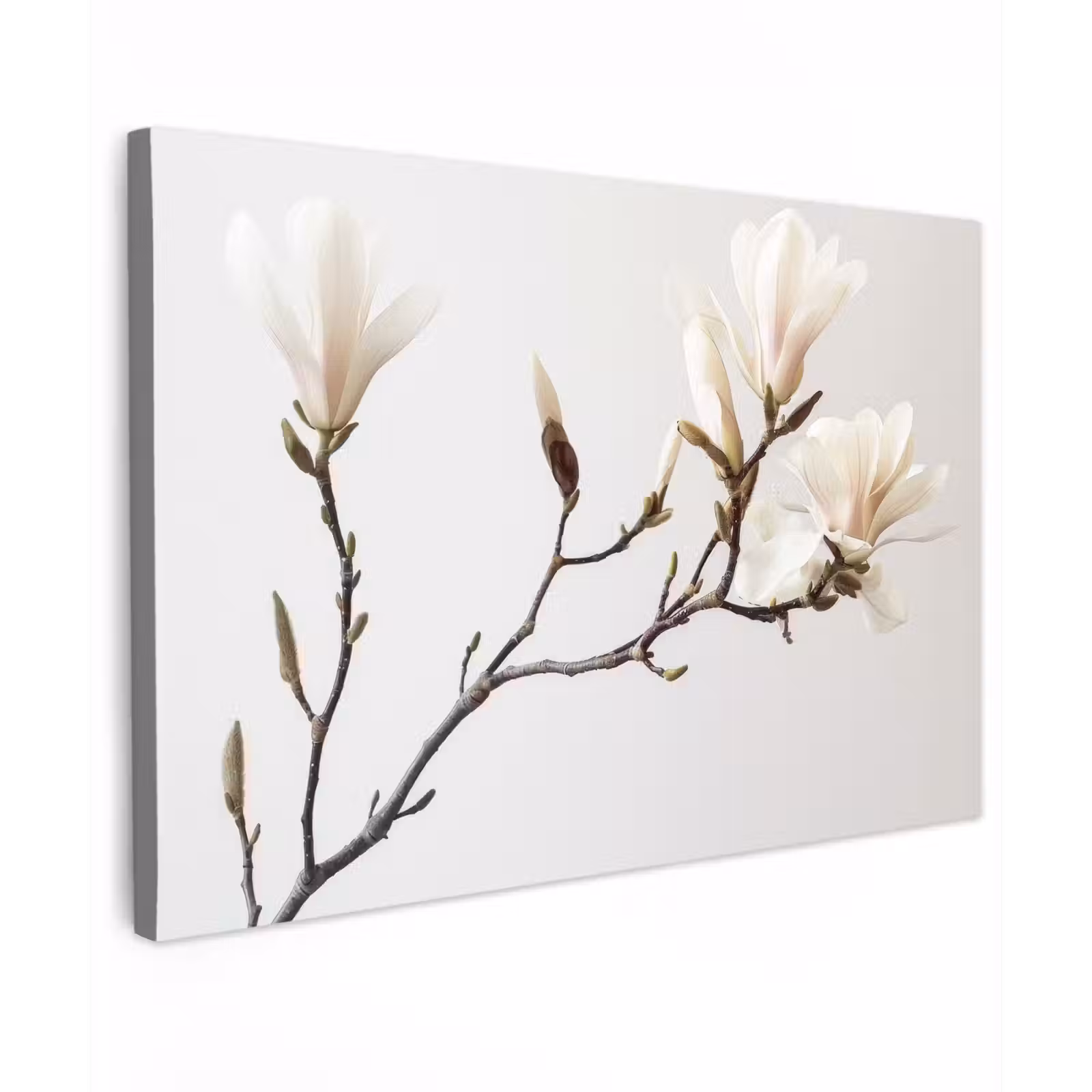 Canvas schilderij - Bloemen - Wit - Natuur - Magnolia — 1