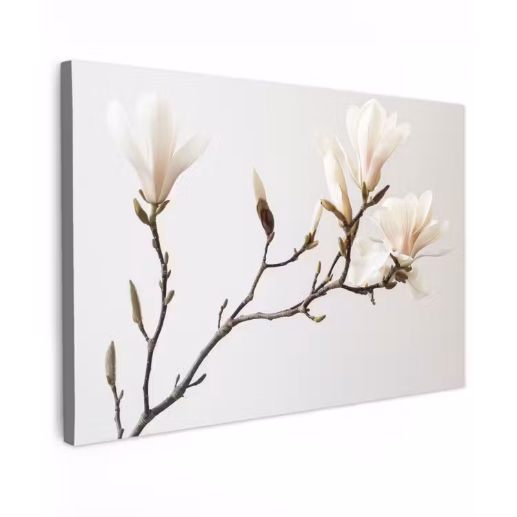 Canvas schilderij - Bloemen - Wit - Natuur - Magnolia — 1