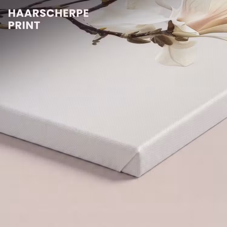 Canvas schilderij - Bloemen - Wit - Natuur - Magnolia — 5