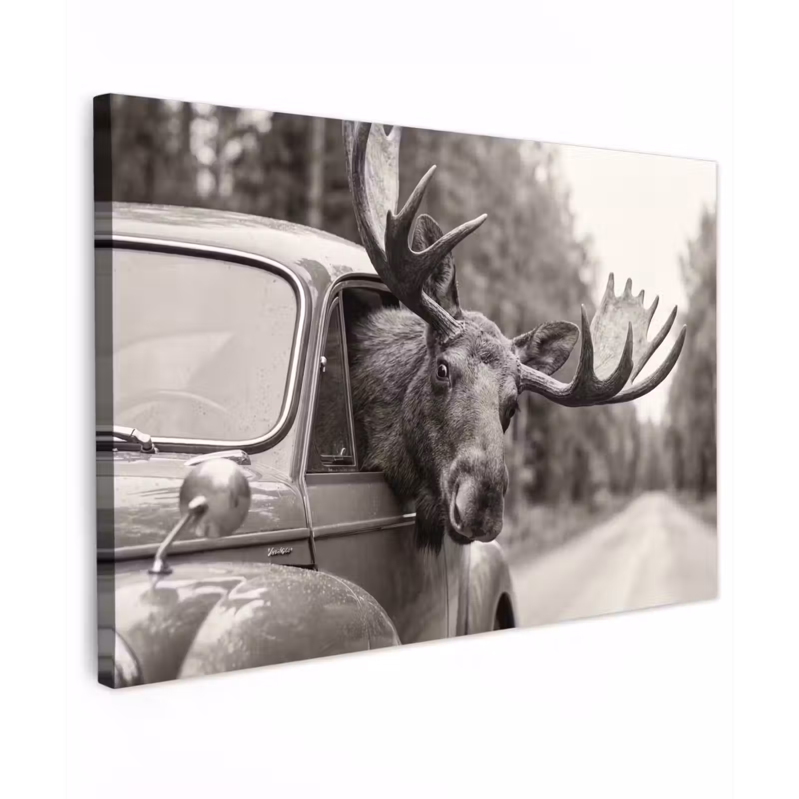 Canvas schilderij - Eland - Auto - Gewei - Zwart - Wit — 1