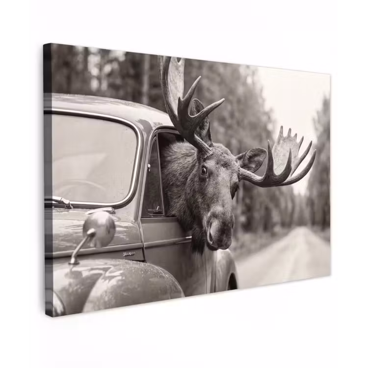 Canvas schilderij - Eland - Auto - Gewei - Zwart - Wit — 1