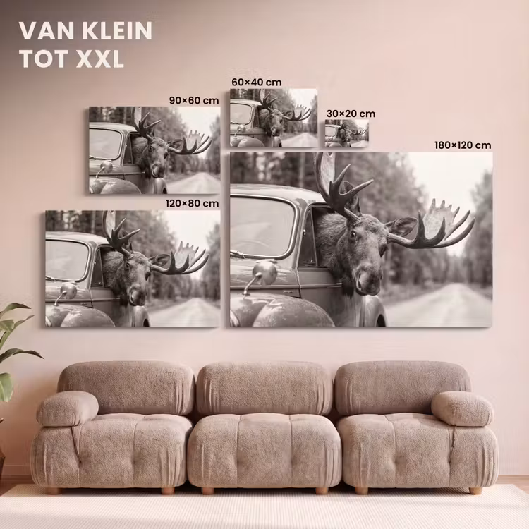 Canvas schilderij - Eland - Auto - Gewei - Zwart - Wit — 8