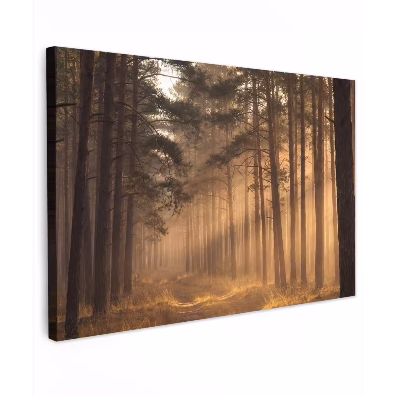 Canvas schilderij - Bos - Mist - Zonlicht — 1