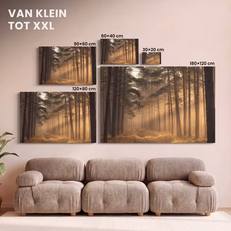 Canvas schilderij - Bos - Mist - Zonlicht — 8