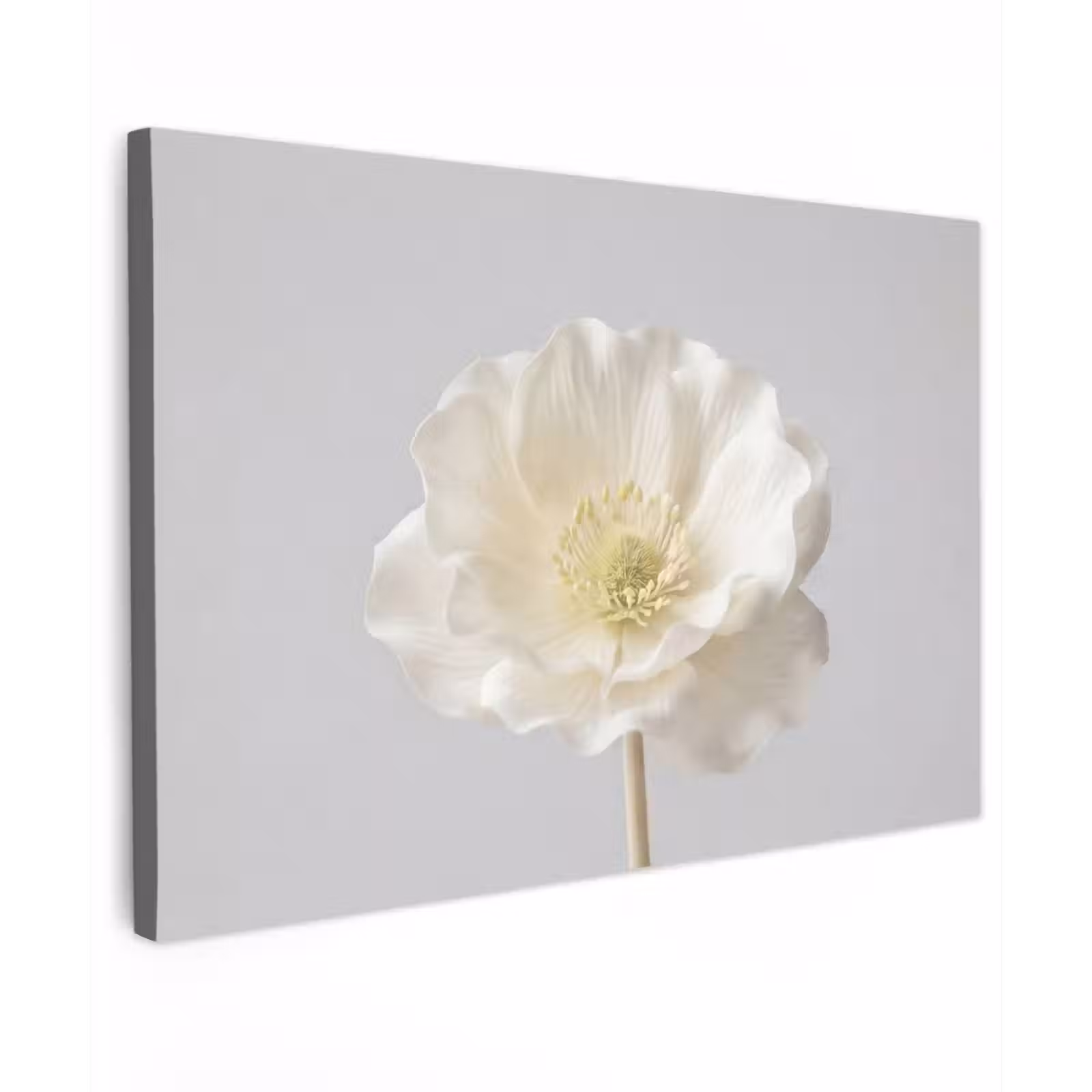 Canvas schilderij - Bloem - Minimalistisch -Wit — 1