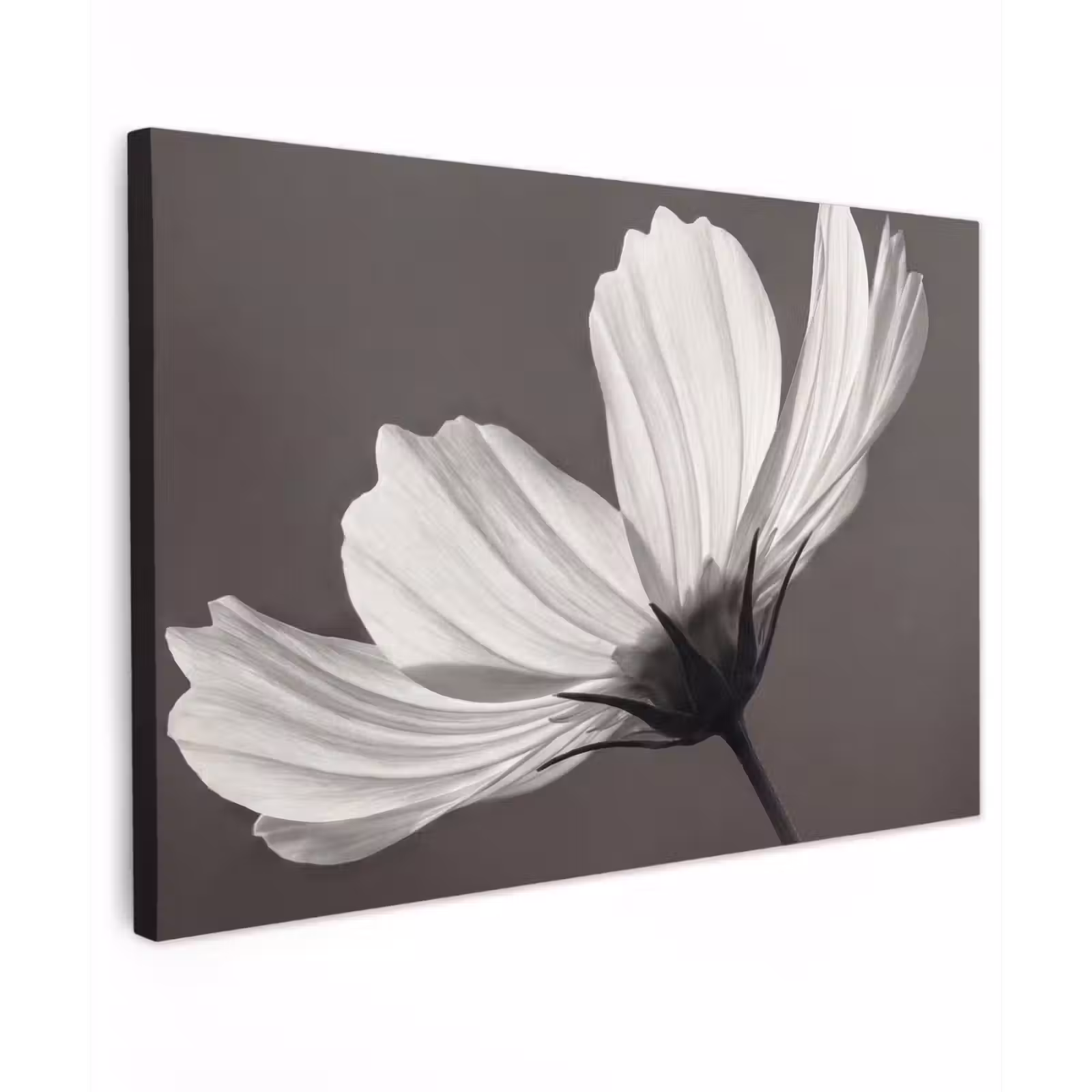 Canvas schilderij - Bloem - Minimalistisch - Zwart - Wit — 1