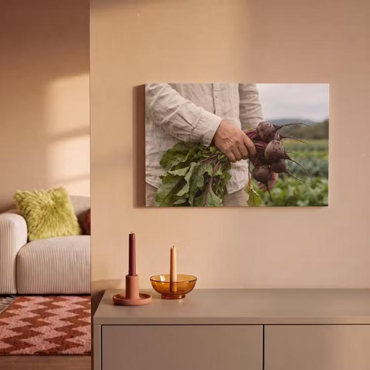 Canvas schilderij - Bieten - Vers - Moestuin — 2