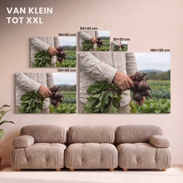 Canvas schilderij - Bieten - Vers - Moestuin — 8