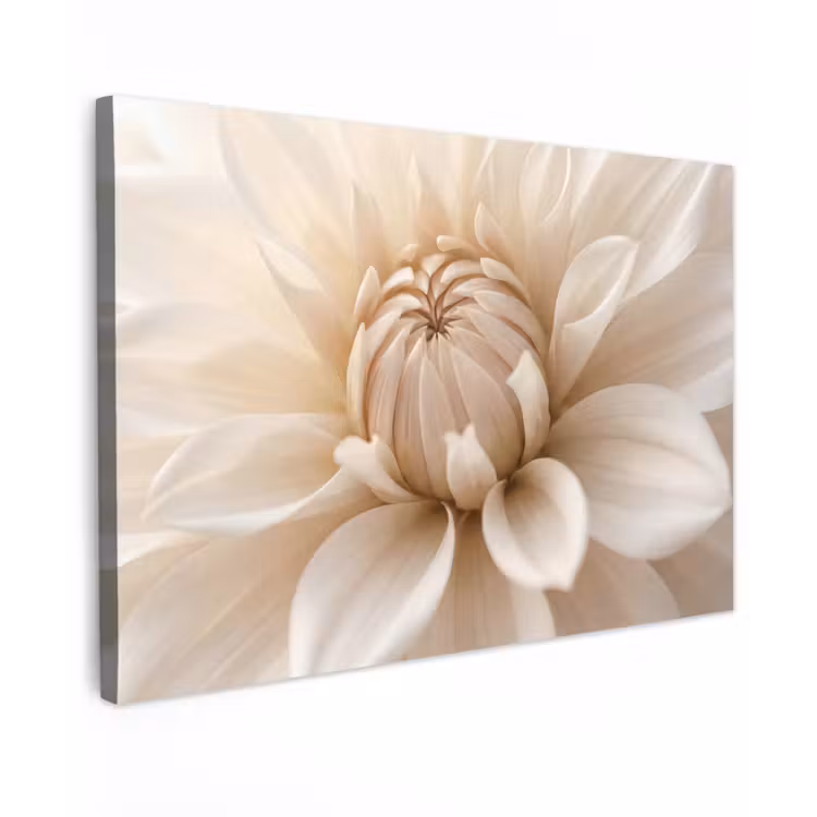 Canvas schilderij - Bloem - Dahlia - Wit — 1