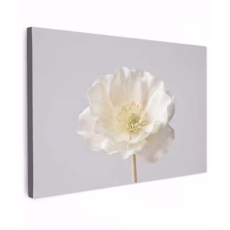 Canvas schilderij - Bloem - Minimalistisch -Wit — 1