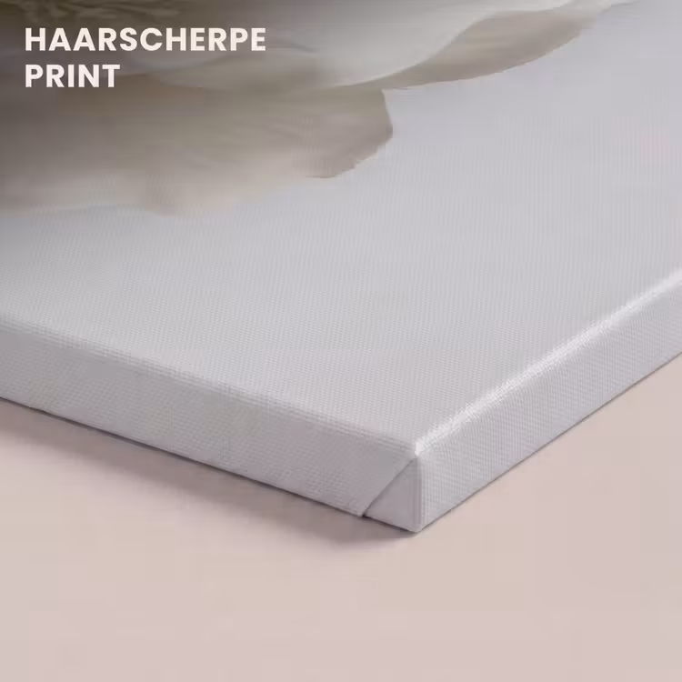 Canvas schilderij - Bloem - Minimalistisch -Wit — 5