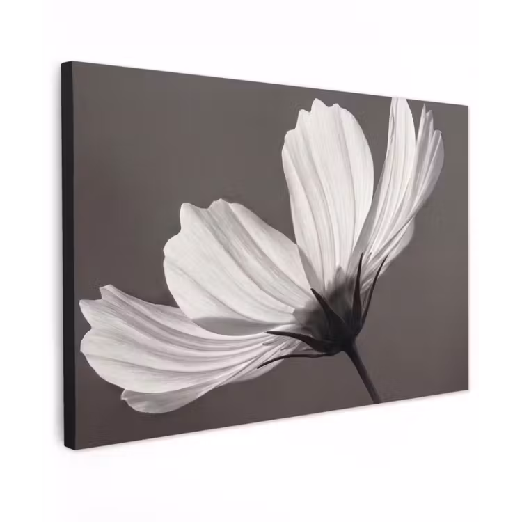 Canvas schilderij - Bloem - Minimalistisch - Zwart - Wit — 1