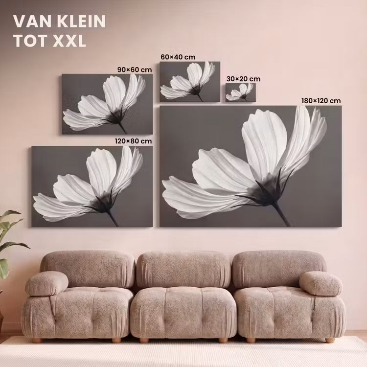 Canvas schilderij - Bloem - Minimalistisch - Zwart - Wit — 8
