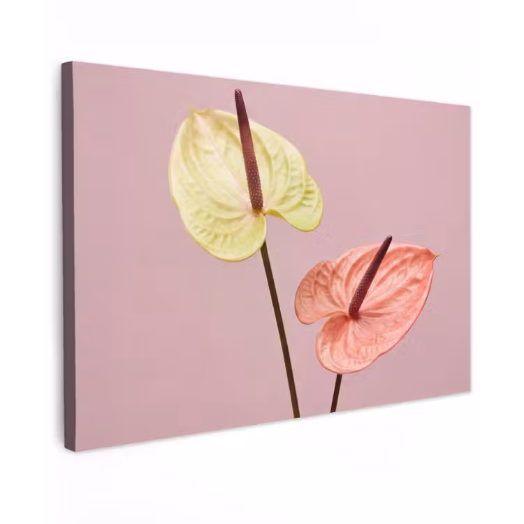 Canvas schilderij - Bloemen - Anthuriums - Geel - Roze — 1