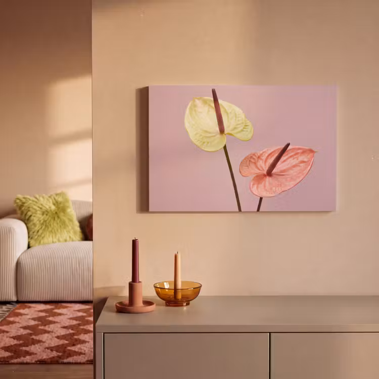 Canvas schilderij - Bloemen - Anthuriums - Geel - Roze — 2