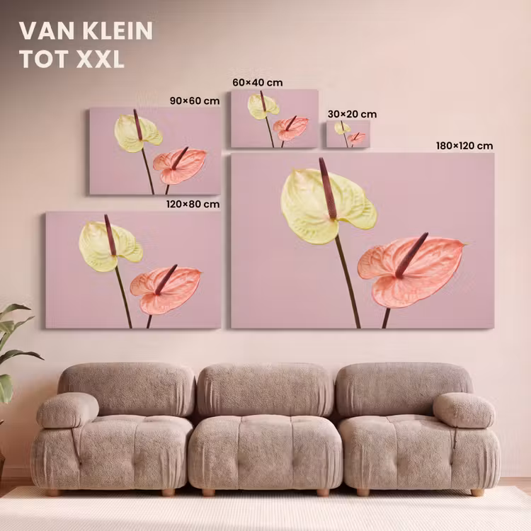 Canvas schilderij - Bloemen - Anthuriums - Geel - Roze — 8