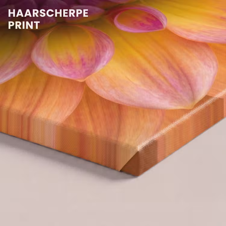 Canvas schilderij - Dahlia - Bloem - Oranje — 5