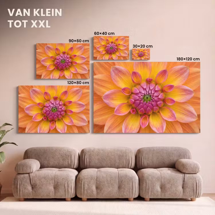 Canvas schilderij - Dahlia - Bloem - Oranje — 8