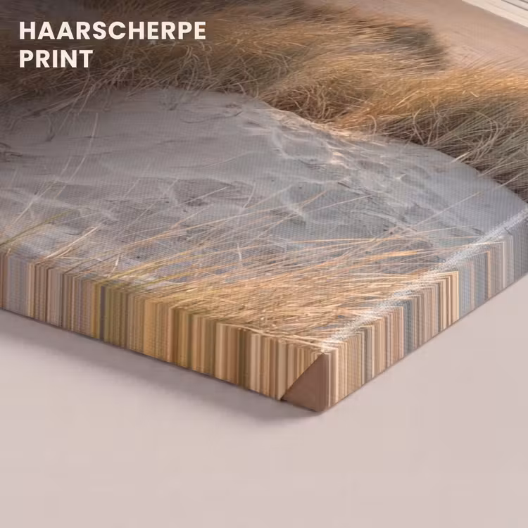 Canvas schilderij - Duinen - Strand - Zee — 5