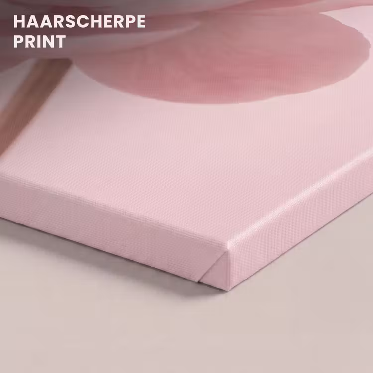Canvas schilderij - Bloem - Pioenroos - Roze — 5