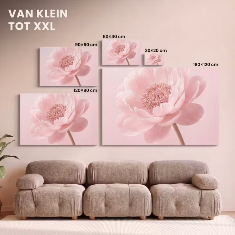 Canvas schilderij - Bloem - Pioenroos - Roze — 8
