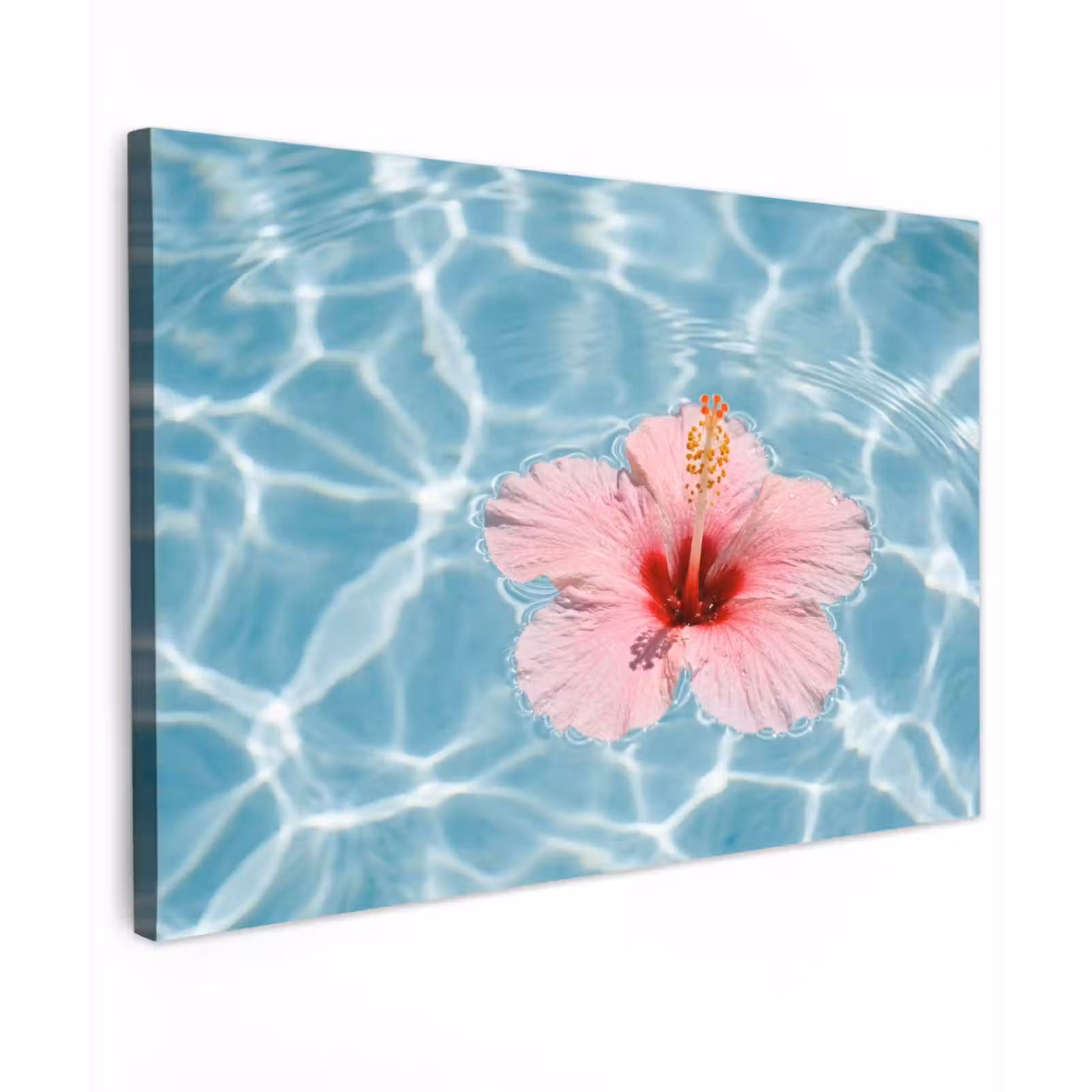 Canvas schilderij - Hibiscus - Water - Roze — 1