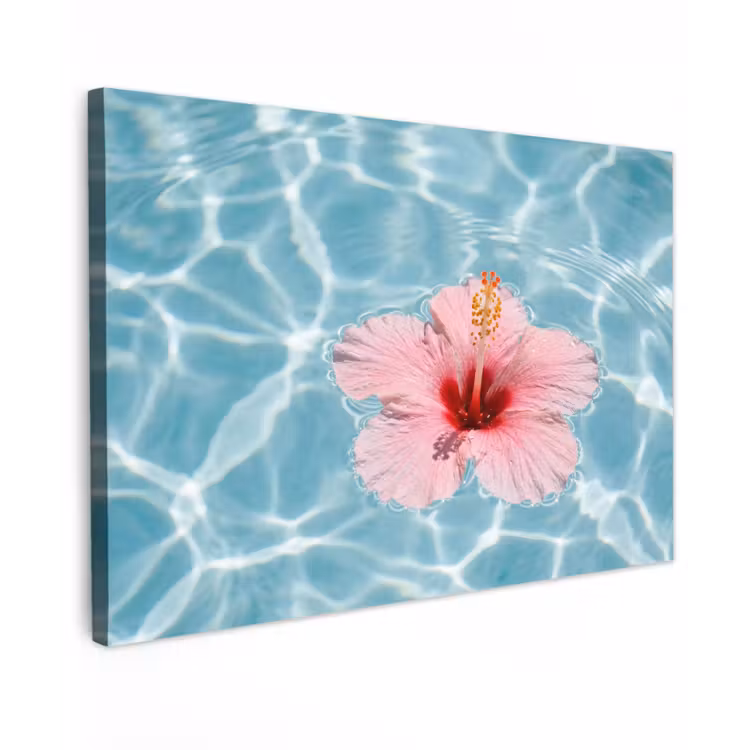 Canvas schilderij - Hibiscus - Water - Roze — 1