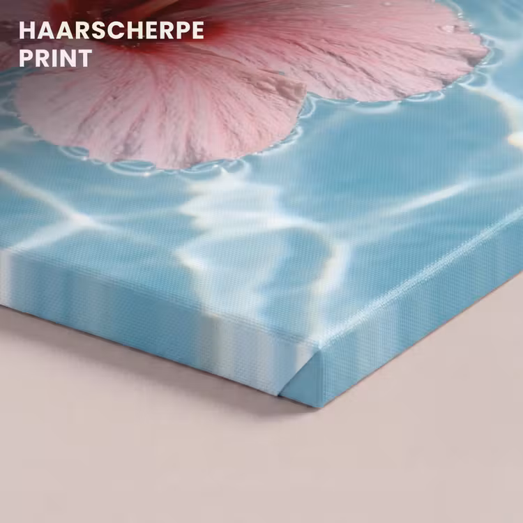 Canvas schilderij - Hibiscus - Water - Roze — 5