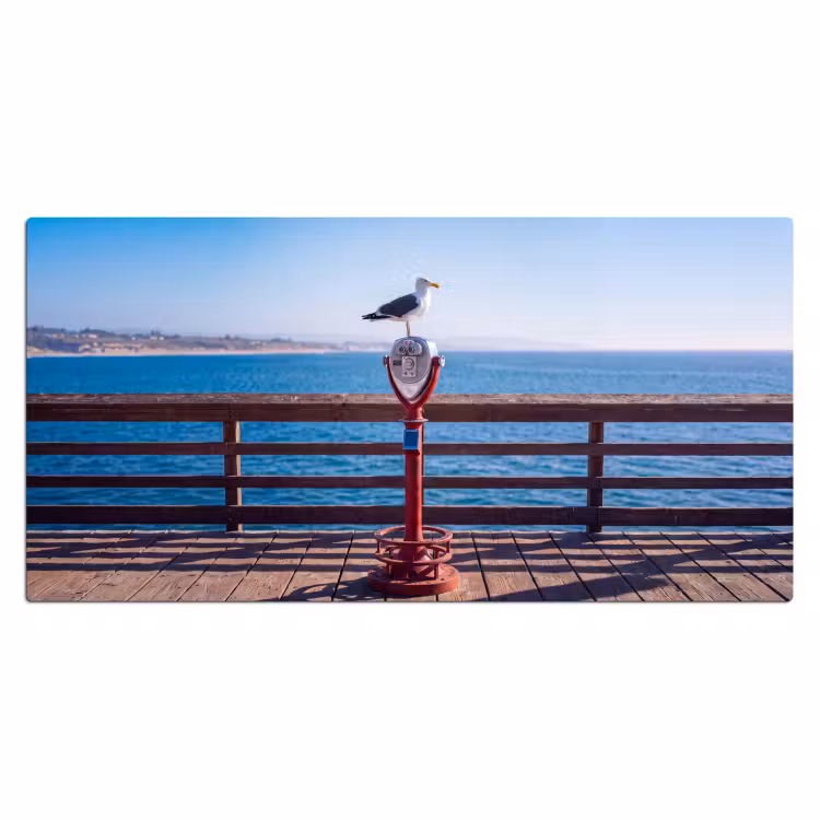 Bureau onderlegger - Vogel - Verrekijker - Kust - Zee - Blauw — 2
